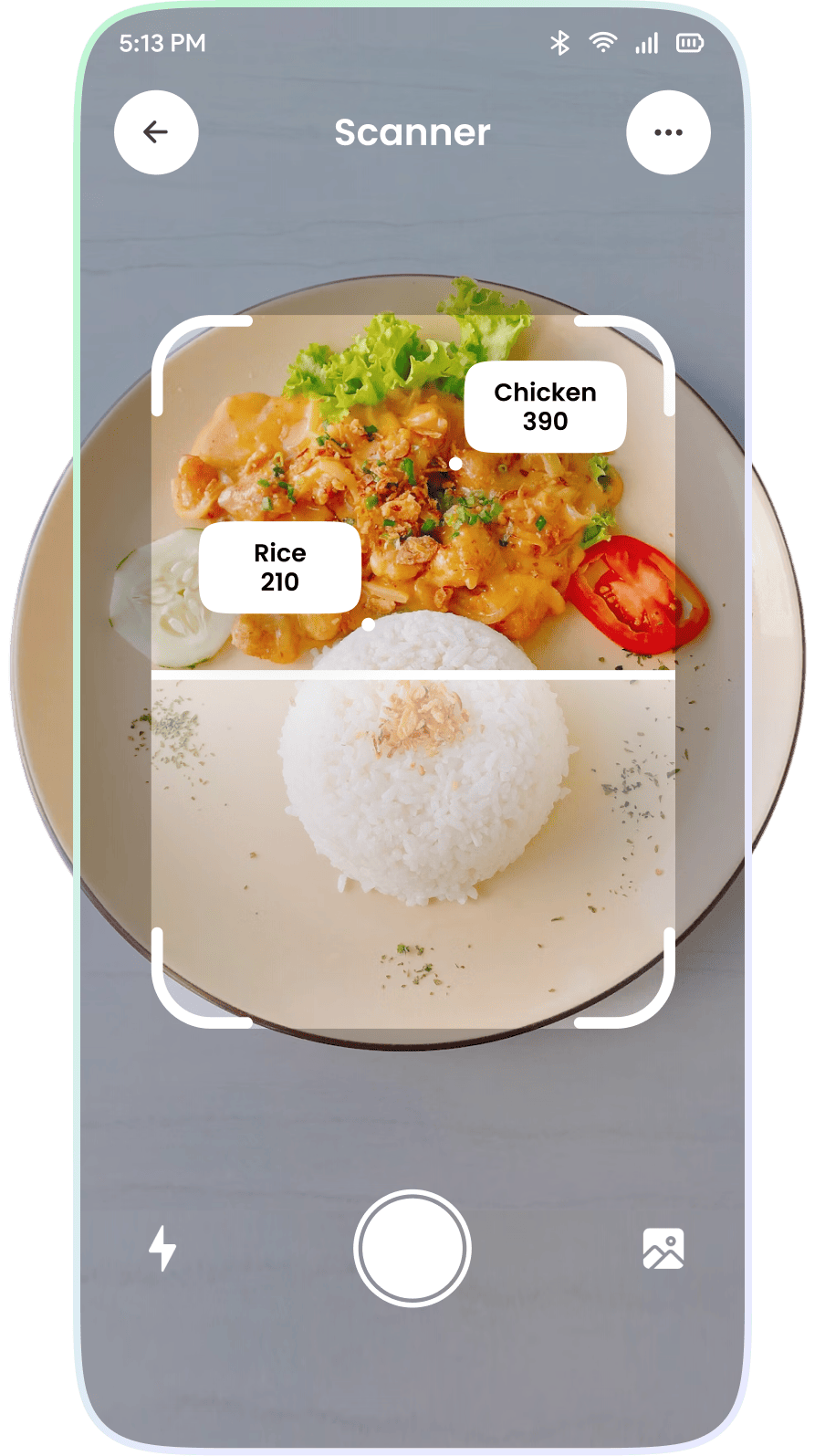 AI-powered meal scanning for calorie tracking and nutrition facts